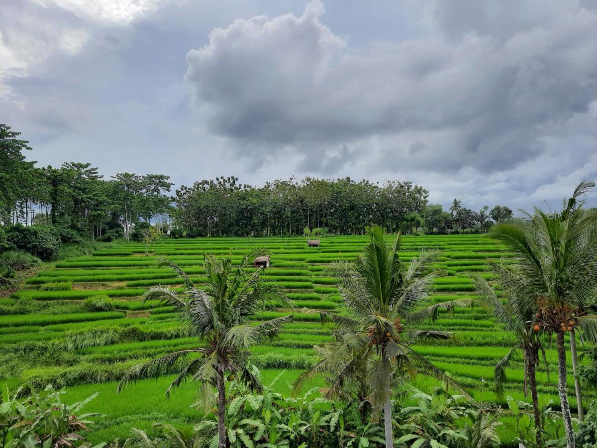 Serenity Private Villa Mas Ubud Екстериор снимка