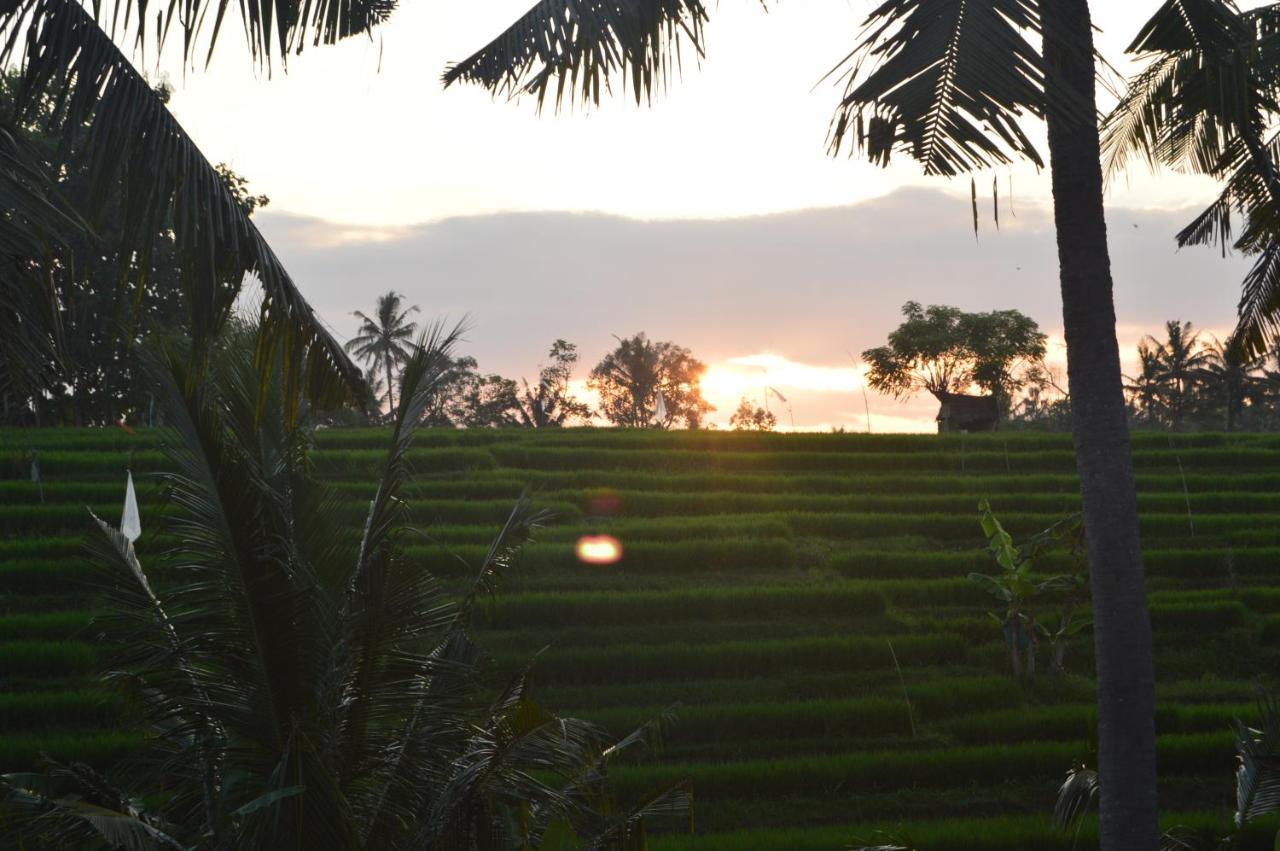 Serenity Private Villa Mas Ubud Екстериор снимка
