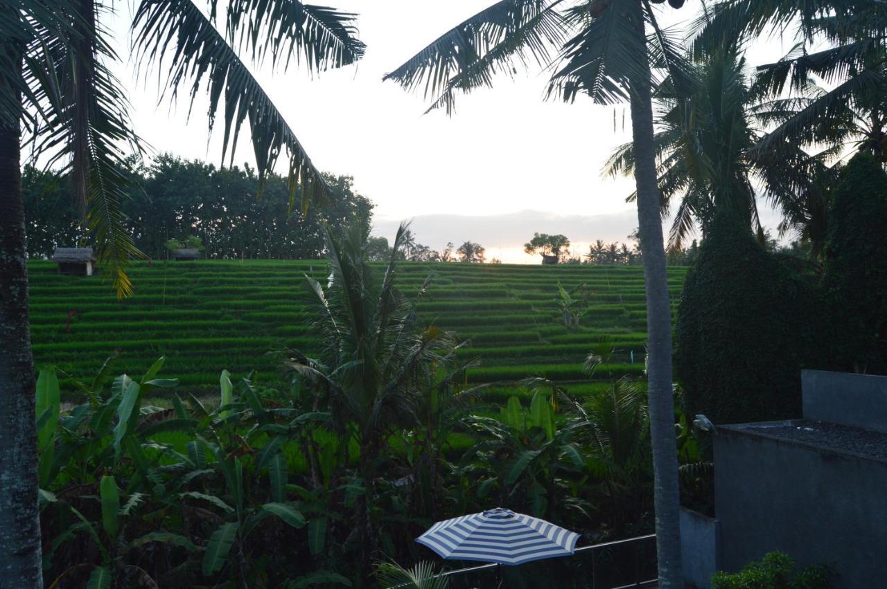 Serenity Private Villa Mas Ubud Екстериор снимка