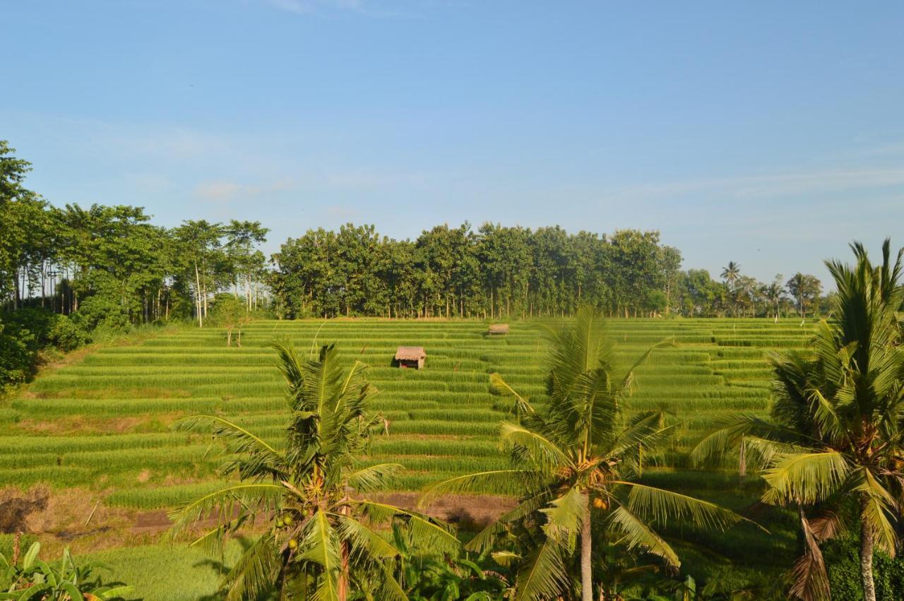 Serenity Private Villa Mas Ubud Екстериор снимка