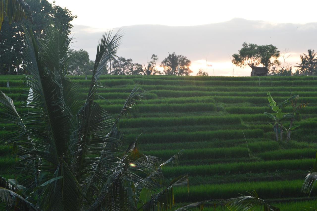 Serenity Private Villa Mas Ubud Екстериор снимка